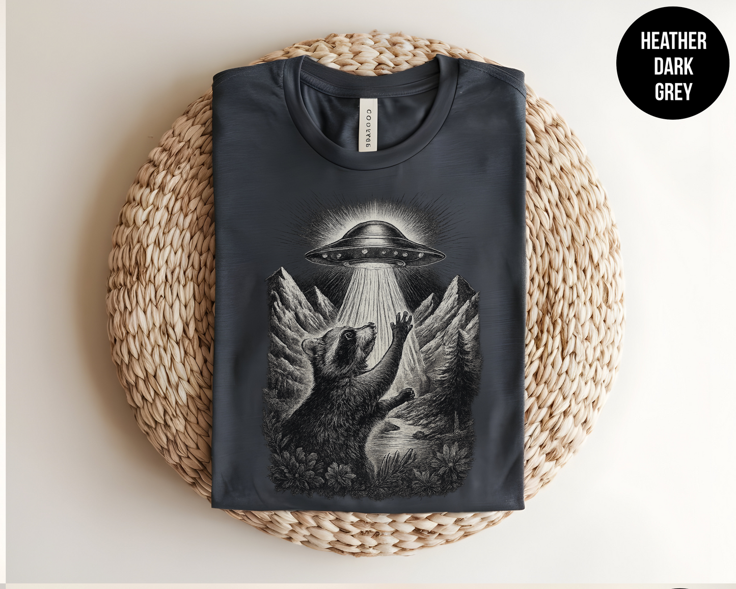 Raccoon UFO Encounter