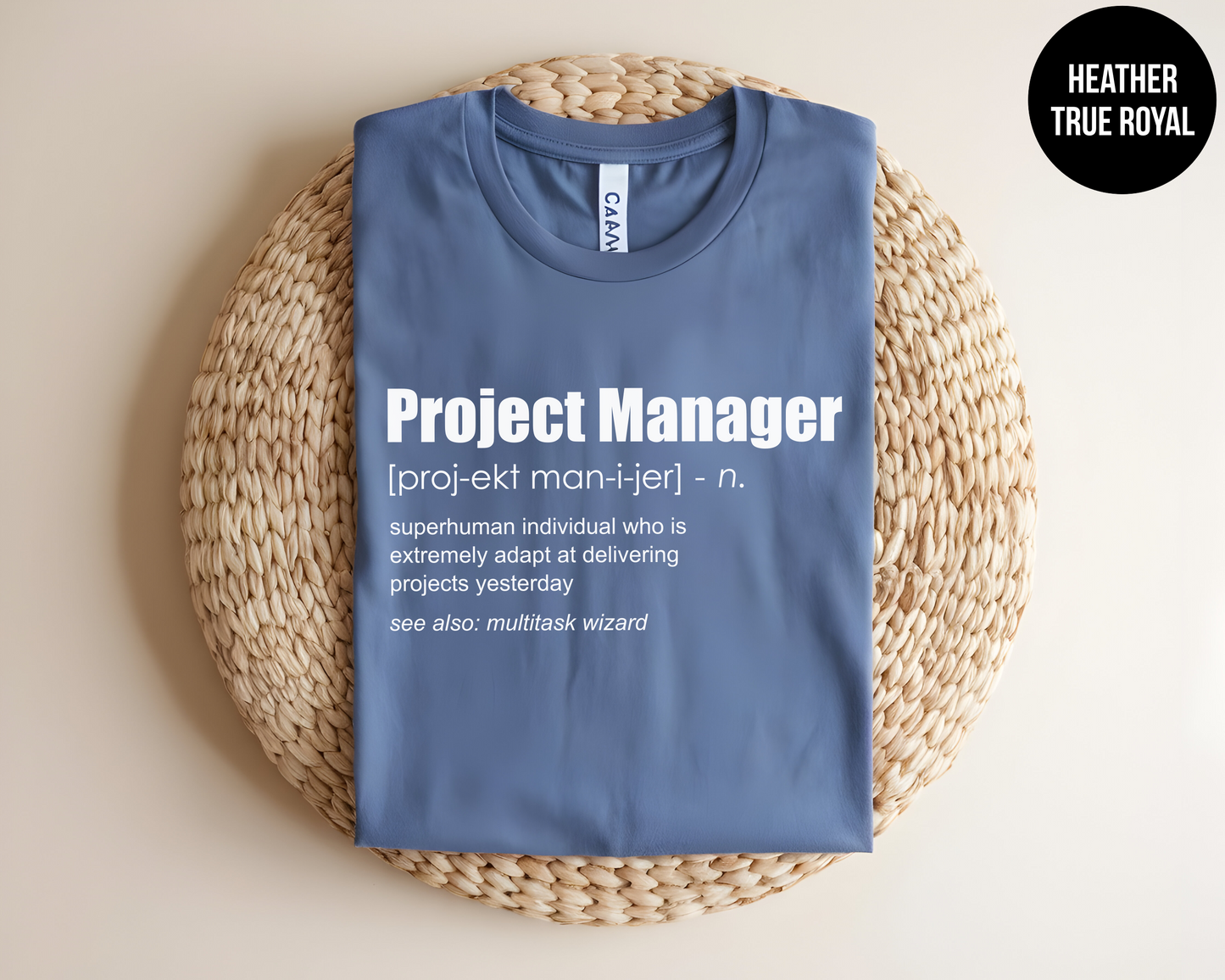 Project Manager Definition