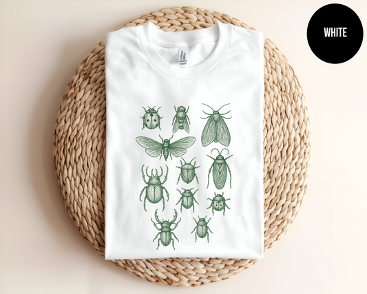 Insect Lover