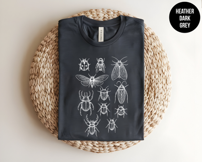 Insect Lover