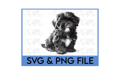 Black ShihTzu - Digital Download