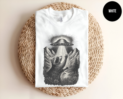 Raccoon UFO Encounter