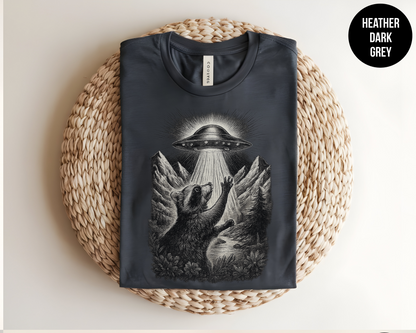 Raccoon UFO Encounter