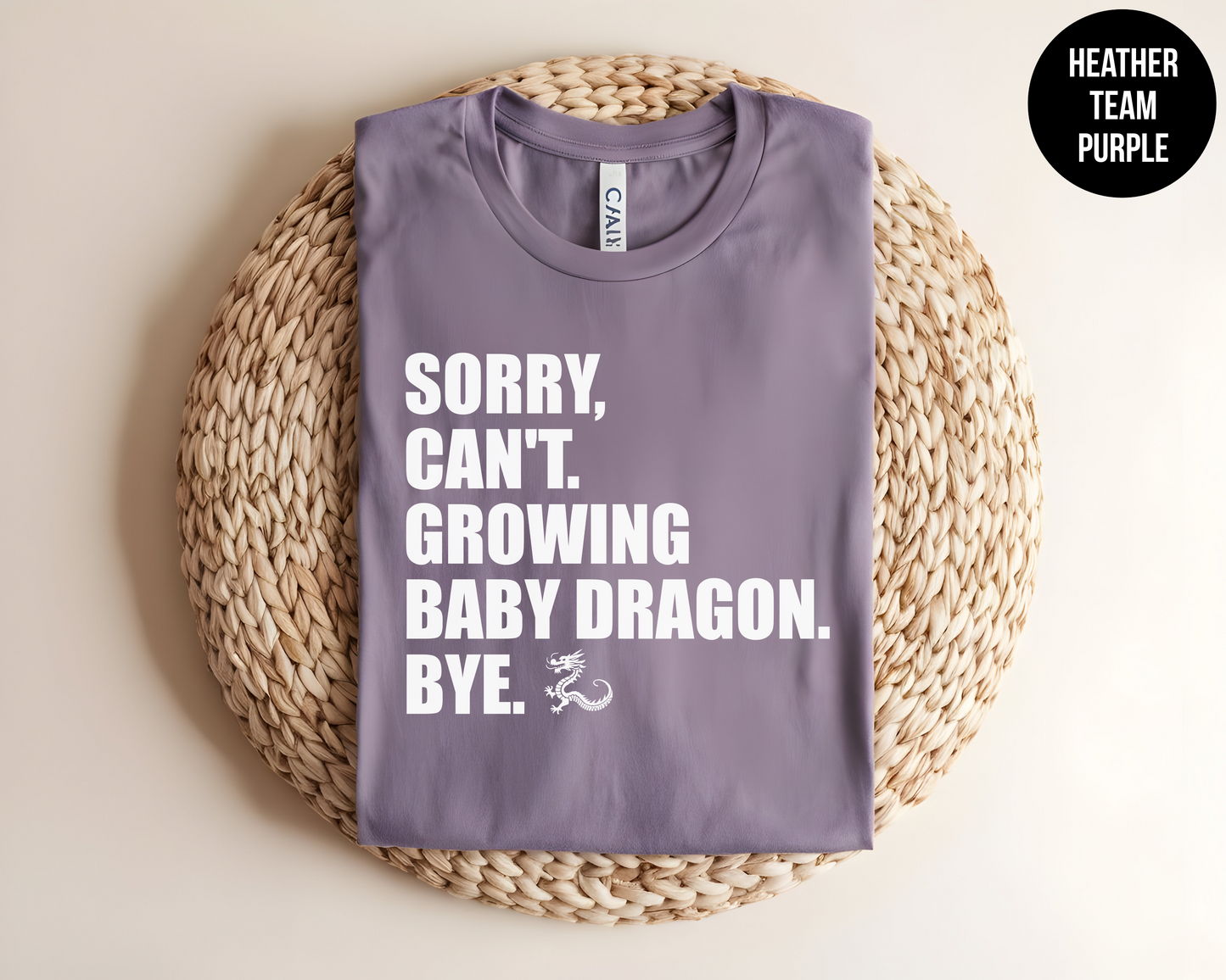 Sorry, Can't. Growing Baby Dragon. Bye.