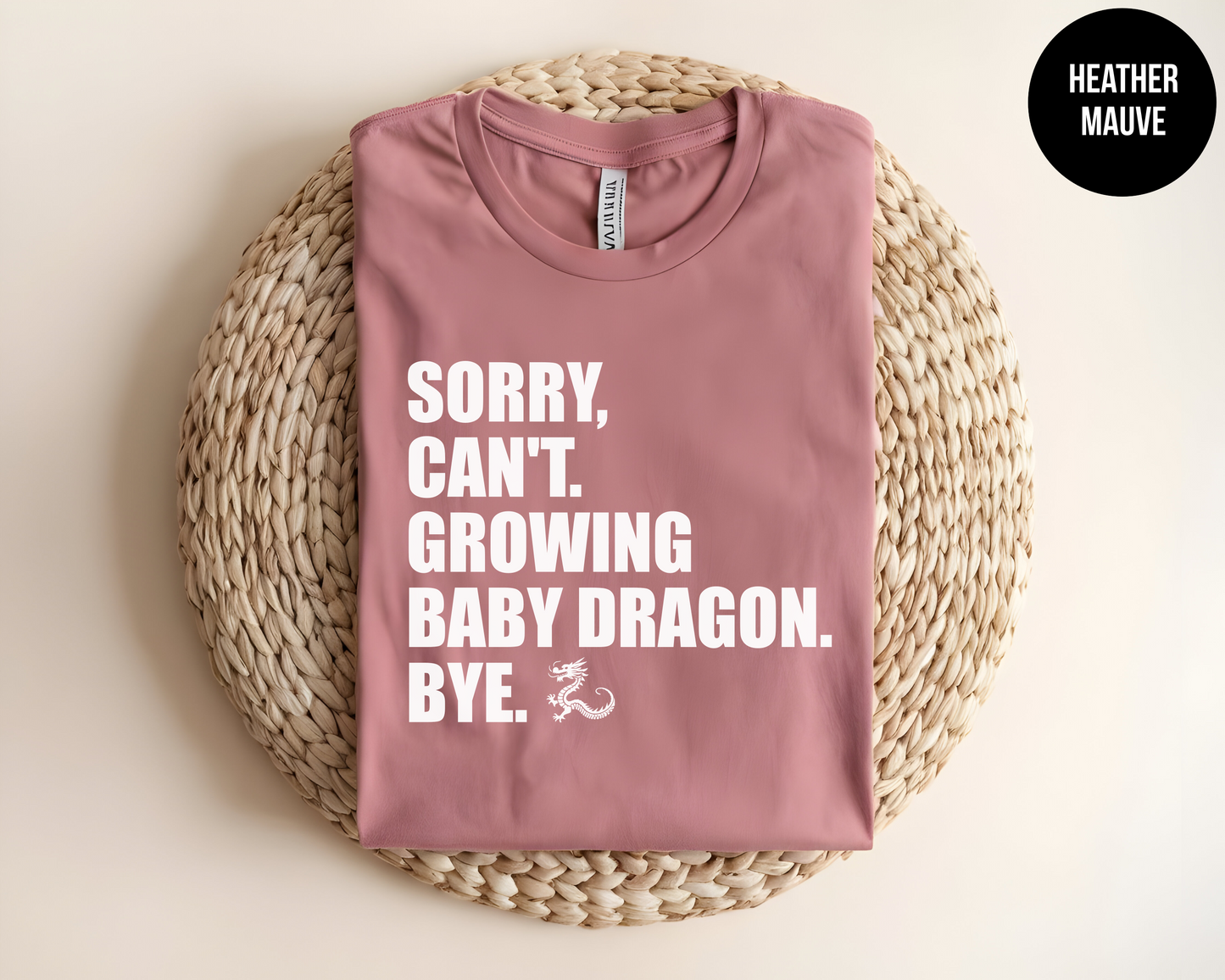 Sorry, Can't. Growing Baby Dragon. Bye.