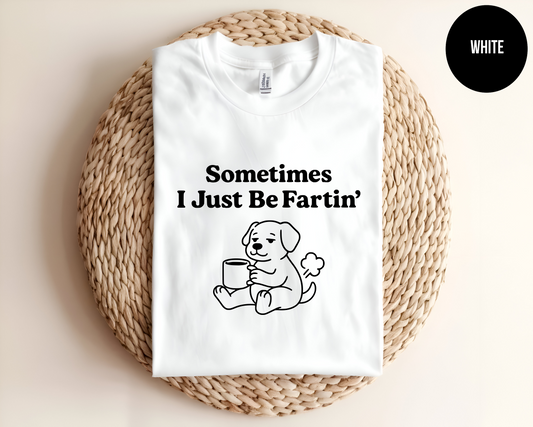 Sometimes I Just Be Fartin’